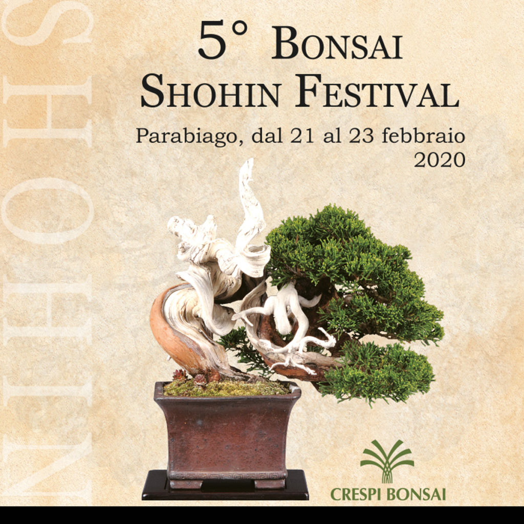 Significato del Bonsai - Sherpa