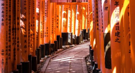 tempio fushimi inari taisha