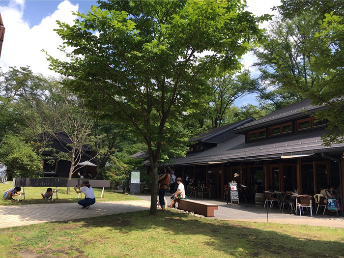 Il fascino della natura giapponese a Karuizawa