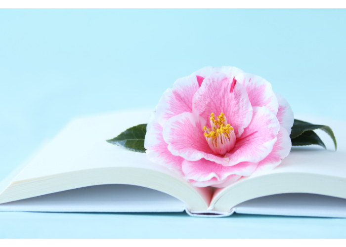 libro con sopra un fiore di camelia